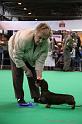 Crufts2011_2 1120